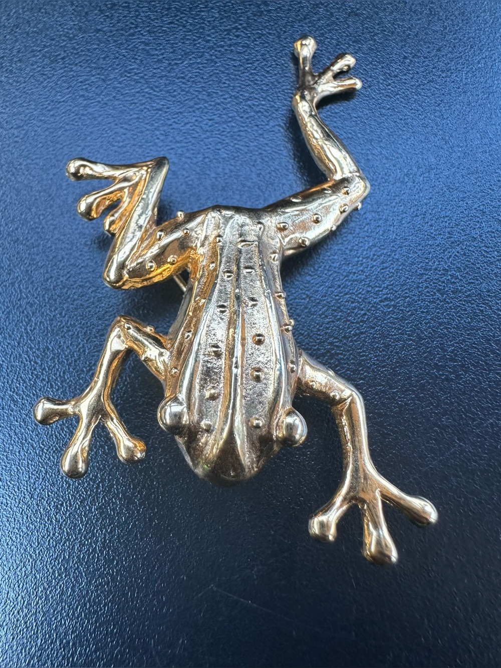 Vintage MIMI DI N 1985 Animalier collection Pendant Frog Brooch